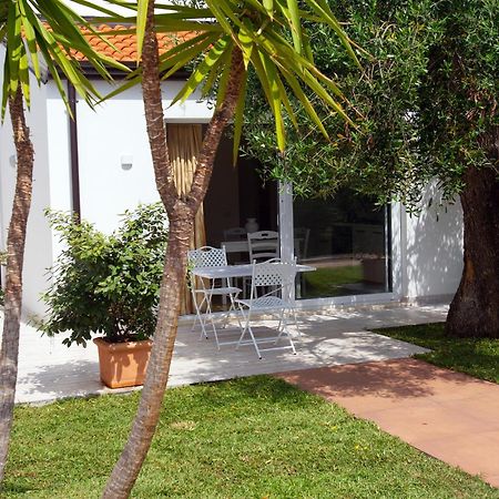 Donnasilia Bed & Breakfast Palinuro Exterior photo