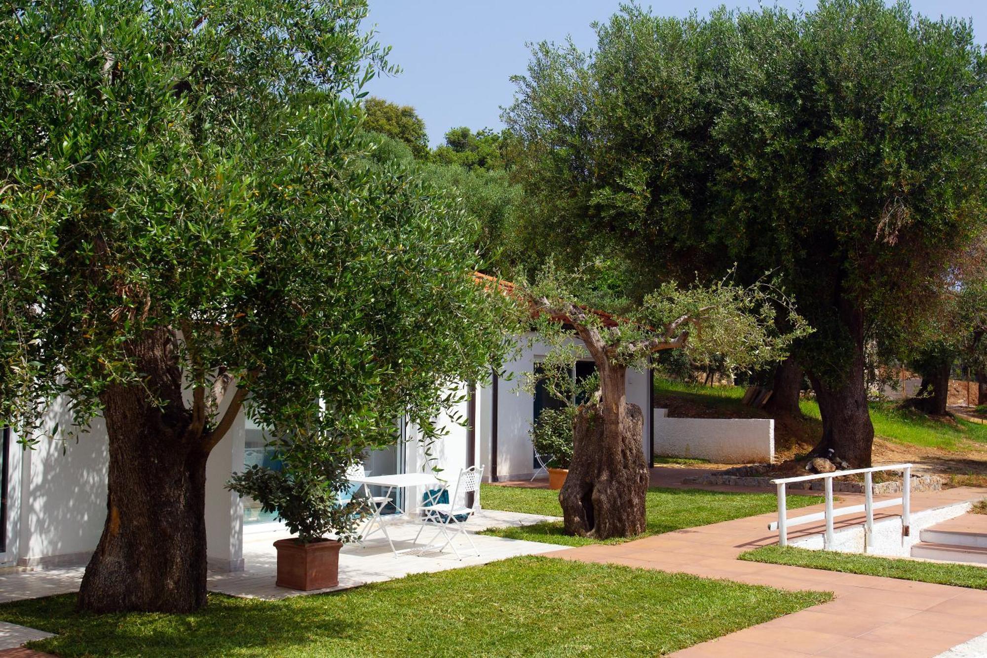 Donnasilia Bed & Breakfast Palinuro Exterior photo