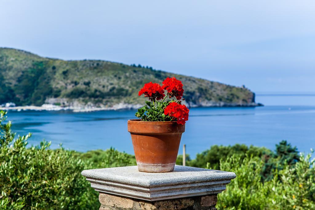 Donnasilia Bed & Breakfast Palinuro Exterior photo